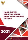 Results of the Business Activity Survey during the COVID-19 Pandemic